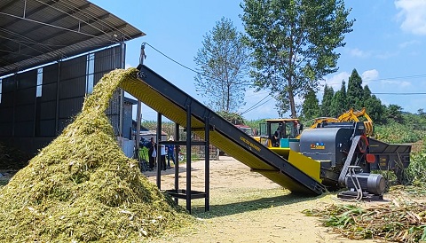 Function of chipper shredder in producing animal feed silage from corn stalks